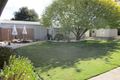 Property photo of 53 Borrow Street Freeling SA 5372
