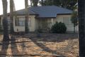 Property photo of 79 Arumpo Street Renmark West SA 5341