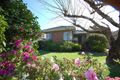 Property photo of 25 Jassa Street Bentleigh East VIC 3165