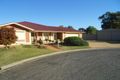 Property photo of 14 Priya Court Risdon Park South SA 5540