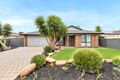 Property photo of 23 Lakeside Drive Andrews Farm SA 5114
