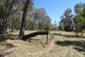Property photo of 288 Cobb Drive Woodstock NSW 2793