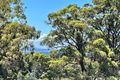 Property photo of 54 Likely Street Forster NSW 2428