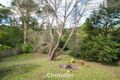 Property photo of 26 Deans Road Upwey VIC 3158