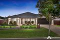 Property photo of 20 Tweeddale Circuit Drewvale QLD 4116