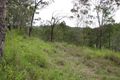 Property photo of 1217 Wild Pig Creek Road Undullah QLD 4285