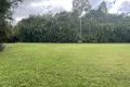 Property photo of 75 Grasstree Road Eumundi QLD 4562