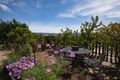 Property photo of 5199 The Snowy River Way Dalgety NSW 2628