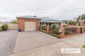 Property photo of 43 Citrus Avenue Horsham VIC 3400
