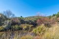 Property photo of 4782 Jerangle Road Anembo NSW 2621