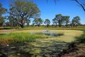 Property photo of LOT 14 Pink Lily Road Pink Lily QLD 4702
