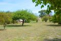 Property photo of 30 Orange Road Manildra NSW 2865
