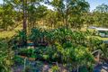 Property photo of 208 Nash Road Tamaree QLD 4570