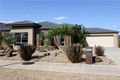 Property photo of 30 Amaryllis Parade Tarneit VIC 3029