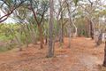 Property photo of 41A Mount View Avenue Hazelbrook NSW 2779