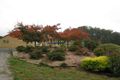 Property photo of 461 Ironcliffe Road Penguin TAS 7316