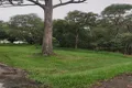 Property photo of 8 Rhodes Street Macleay Island QLD 4184