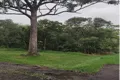 Property photo of 8 Rhodes Street Macleay Island QLD 4184