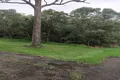 Property photo of 8 Rhodes Street Macleay Island QLD 4184