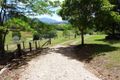 Property photo of 43 Tyalgum Ridge Road Tyalgum NSW 2484