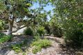 Property photo of 42 Lorilet Street Peregian Beach QLD 4573