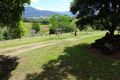 Property photo of 43 Tyalgum Ridge Road Tyalgum NSW 2484