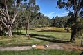 Property photo of 505 Pyalong Road Lancefield VIC 3435