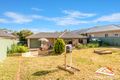 Property photo of 11 Klauber Street Lyndoch SA 5351