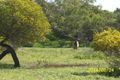 Property photo of 37 Gregory Street Isseka WA 6535