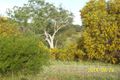 Property photo of 37 Gregory Street Isseka WA 6535