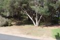 Property photo of 17 Nalong Street Rye VIC 3941