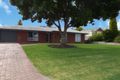Property photo of 13 Parkhill Court Wynn Vale SA 5127