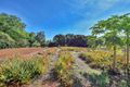 Property photo of 55 Dichondra Road Howard Springs NT 0835