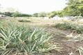Property photo of 55 Dichondra Road Howard Springs NT 0835