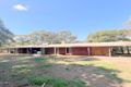 Property photo of 11 Mooney Street Condobolin NSW 2877