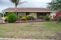 Property photo of 24 Avenue Road Paradise SA 5075