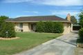 Property photo of 30 Hill Avenue Keith SA 5267