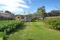 Property photo of 11 View Street Lake Illawarra NSW 2528