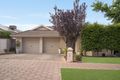 Property photo of 3 Kingswood Road Windsor Gardens SA 5087
