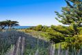 Property photo of 243 Great Ocean Road Apollo Bay VIC 3233