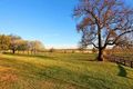 Property photo of 508 Cornwallis Road Cornwallis NSW 2756