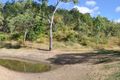 Property photo of 11 Hancock Road Alligator Creek QLD 4816