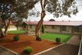 Property photo of 5 Todd Avenue Murray Bridge SA 5253