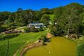 Property photo of 260 Dingo Lane Myocum NSW 2481