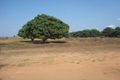 Property photo of 830 Anzac Parade Middle Point NT 0822