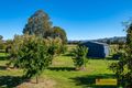 Property photo of 20 Stockmans Drive Putta Bucca NSW 2850