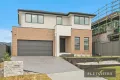 Property photo of 5 Dolly Circuit Calderwood NSW 2527
