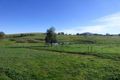 Property photo of 1629 Rye Park Road Boorowa NSW 2586