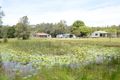 Property photo of 139 Cowans Lane Oxley Island NSW 2430