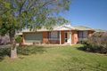 Property photo of 38 Saville Avenue Lavington NSW 2641